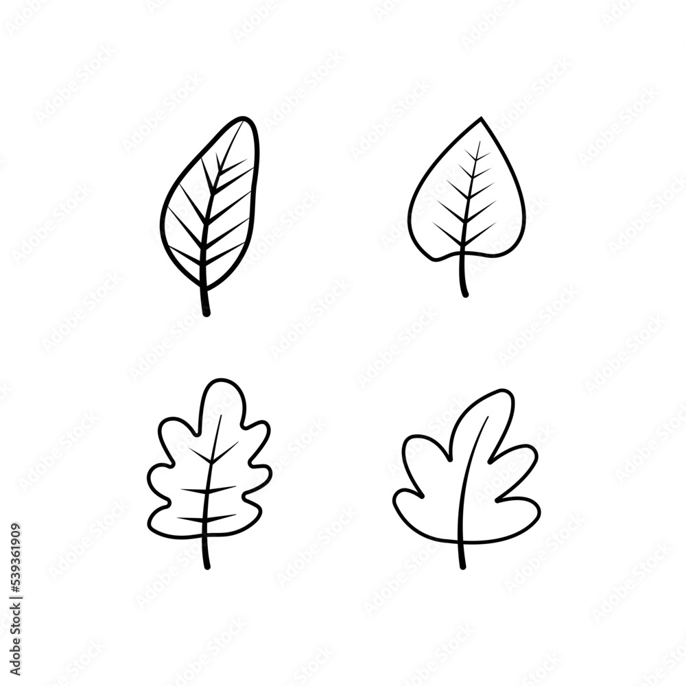 Set of botanical line art petals, plants. Sketch branch isolated on a white background. Vector illustration