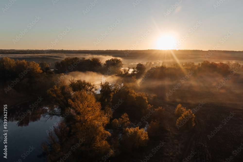 fog covers trees and river in autumn field