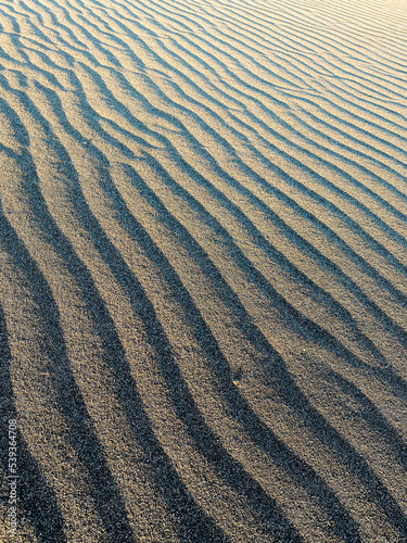 ripples in the sand