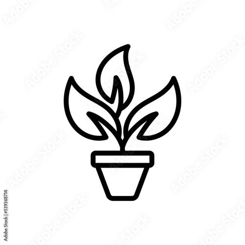 Black line icon for herb