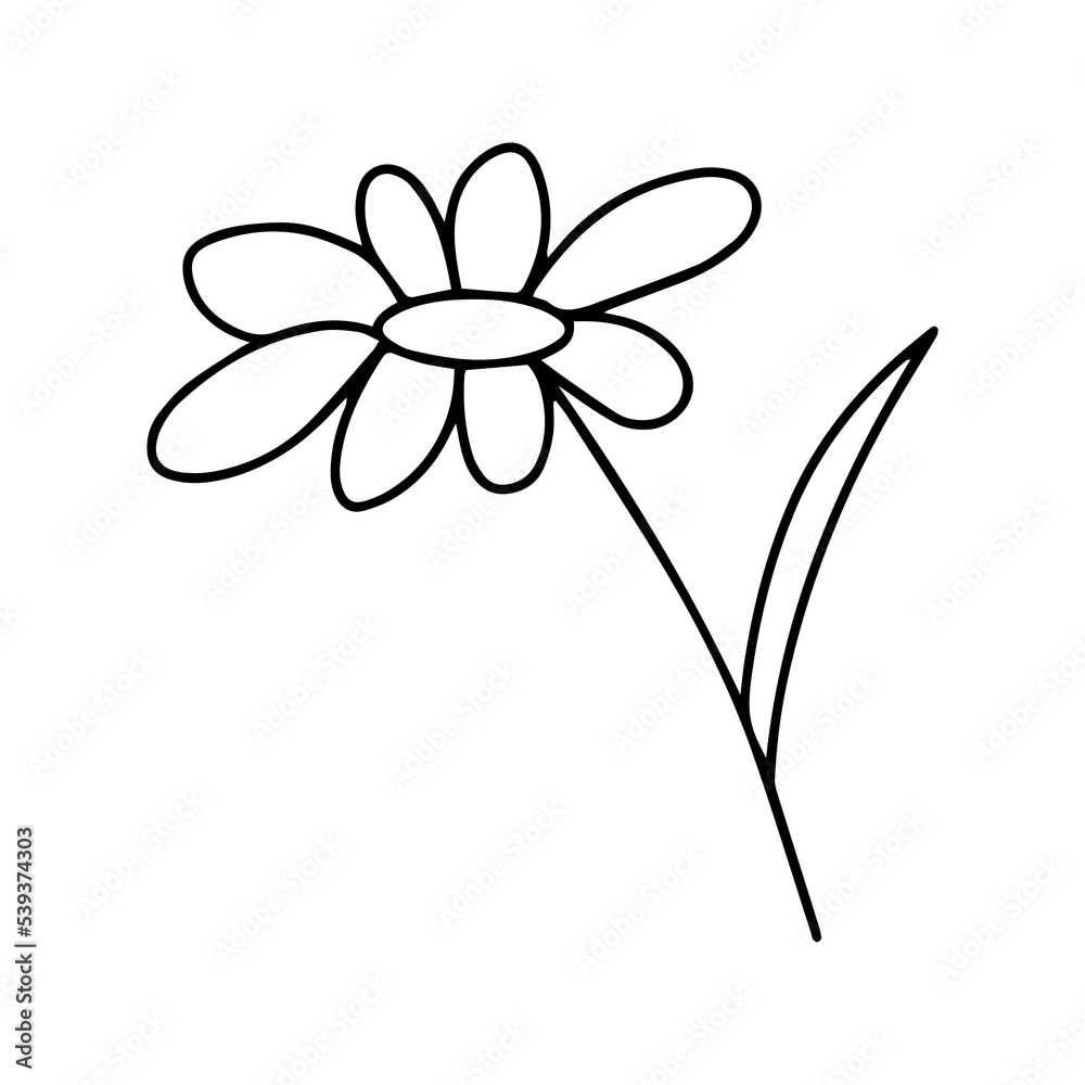  Delicate sketch of a spring flower. Vector illustration in hand drawn style