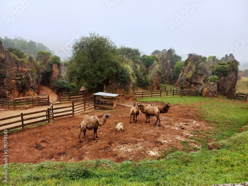 Un paseo por la naturaleza
