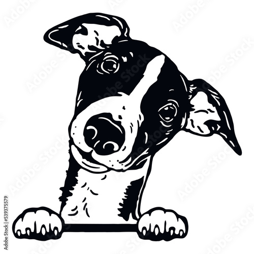 Whippet - Funny Dog  Vector File  Cut Stencil for Tshirt