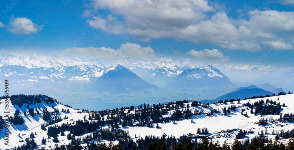  The mountain view  of Pine trees as snow-capped mount peaks in  Swiss Mountain alps against the blue sky background