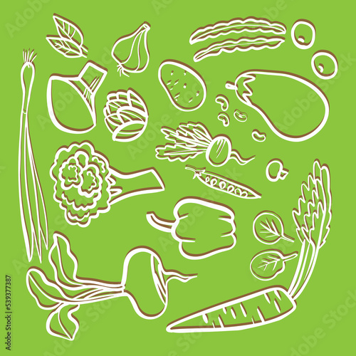 set of white contour vegetables on a green background