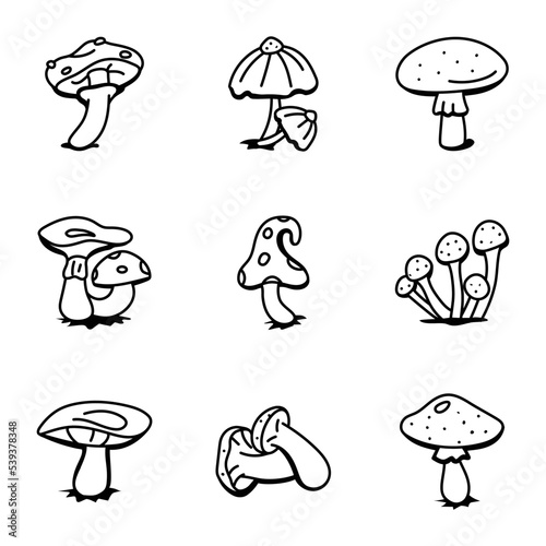 Set of Fungus Types Hand Drawn Icons