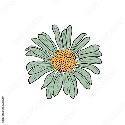 Retro Groovy Flower Daisy. Botanical vintage flower. Design for social media  packaging  Print on T-Shirts  Cards. Floral clipart inspired by 70s and Groovy Hippy. Doodle vector illustration isolated.