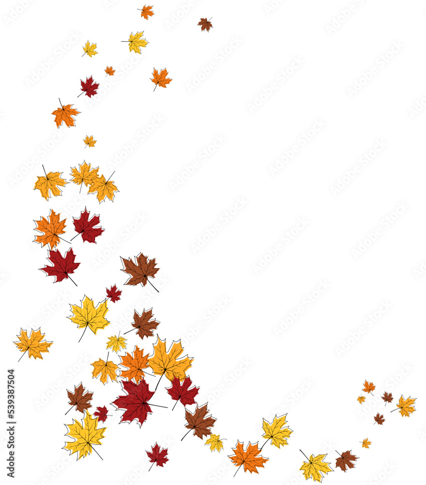 Autumn Maple Frame