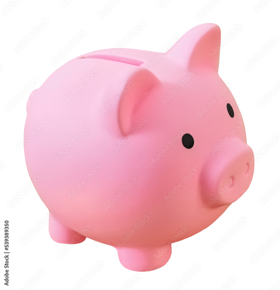 Pink piggy Bank stands on white background.