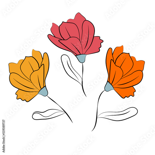 Set of flowers on white background. Lineart, vector illustration