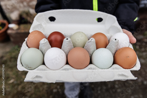 Biobauernhof Eier verschiedene färben photo