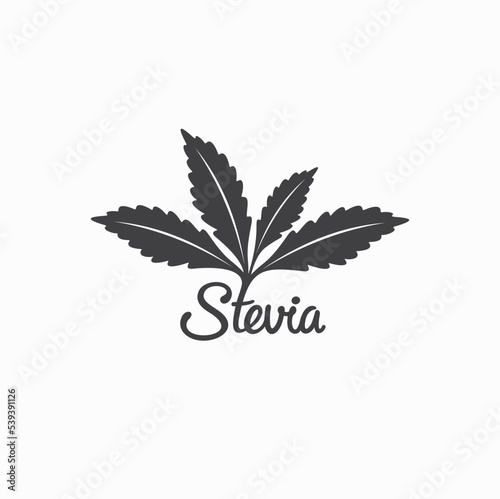 illustration of stevia leaf or stevia sugar, vector art.