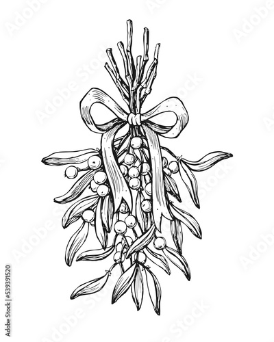 Hand drawn mistletoe branch. Christmas plant background. Vector design for card, poster, holiday decoration.