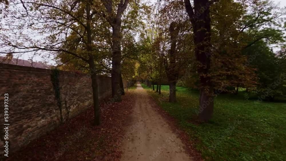 Straight path leading an alley through the autumn park. Cool morning with colorful leaves on the ground and in the grass. Straight path leading an alley through the autumn park. Cool morning with colorful leaves on the ground and in the grass.