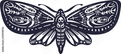 Butterfly hawk moth or death. Vector insect, print