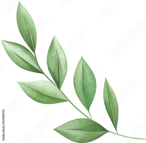 Watercolor Green Leaf For Wedding Decoration © Catrat