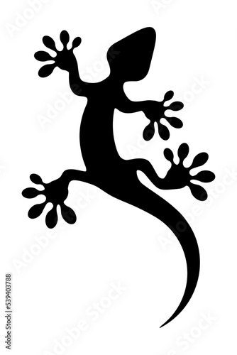 Silhouette of a gecko. Lizard