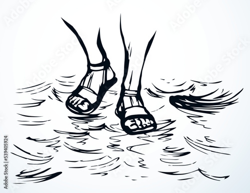 Legs walk on the water. Vector drawing