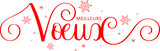Bannière calligraphique rouge MEILLEURS VOEUX avec flocons de neige sur fond transparent