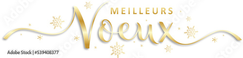 Bannière calligraphique dorée MEILLEURS VOEUX avec flocons de neige sur fond transparent