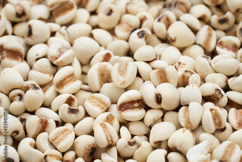 Jobs tear seed or coix millet seed grain on wooden table kitchen background. heap of Jobs tear or coix millet seed grain. Jobs tear or millet coix seed                       