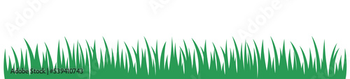grass banner illustration