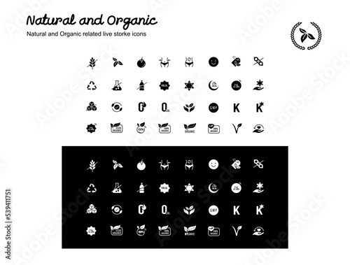 Natural and Organic Solid Fill Icons for Products