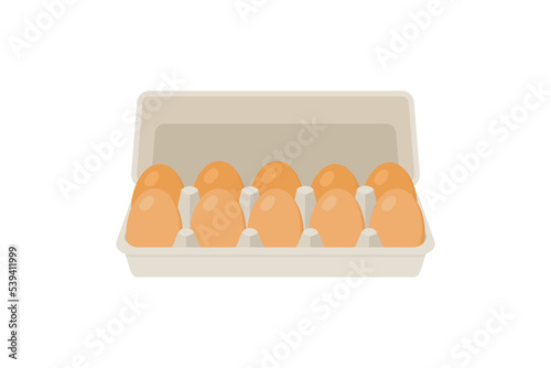 Chicken eggs. Fresh brown eggs in paper box vector illustration