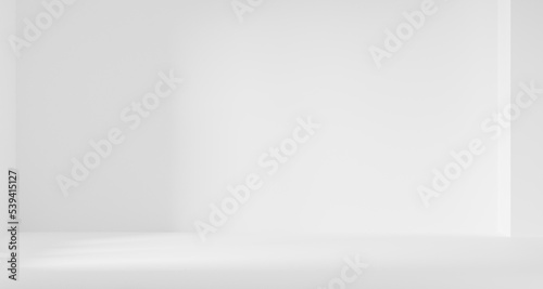 3d rendering of empty white abstract geometric minimal concept background. Scene for advertising, cosmetic, showroom, banner, fashion, technology, business. Illustration. Product display