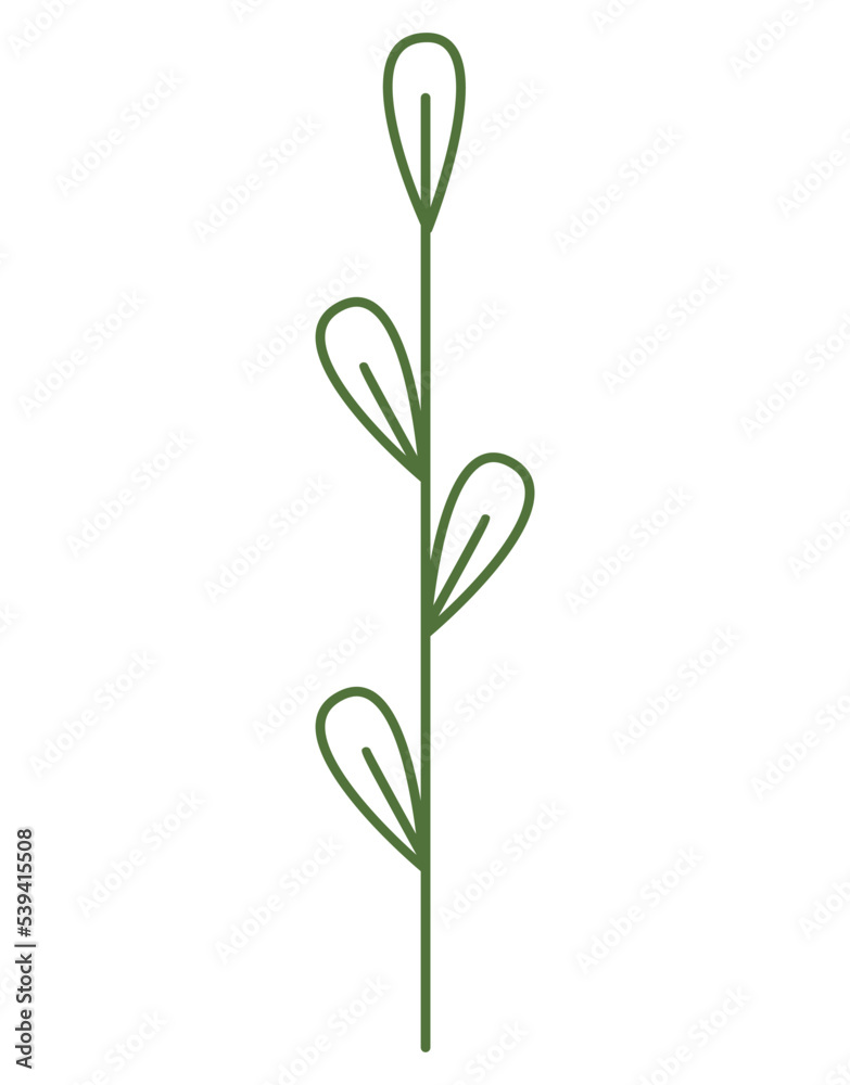 A simple branch with leaves, buds. Outline linear style, doodle drawing isolated on white background. Floral element, straight stem, handy for making vector brushes. Green twig logo, design element