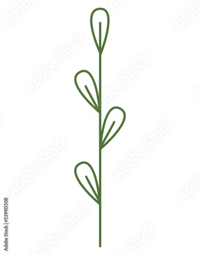 A simple branch with leaves  buds. Outline linear style  doodle drawing isolated on white background. Floral element  straight stem  handy for making vector brushes. Green twig logo  design element