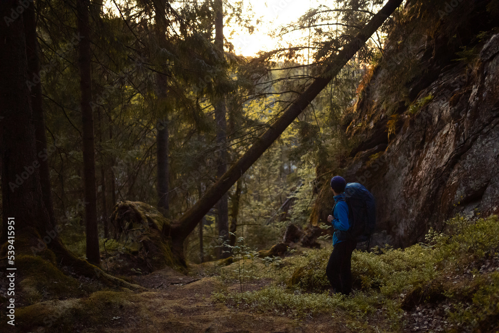 A man with a backpack hiking in the forest at sunset watching a fallen tree.