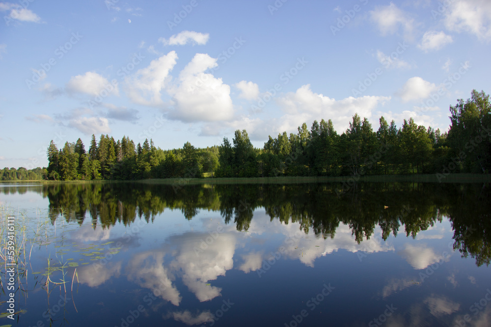 Reflection of trees in a lake. Summer in Europe.