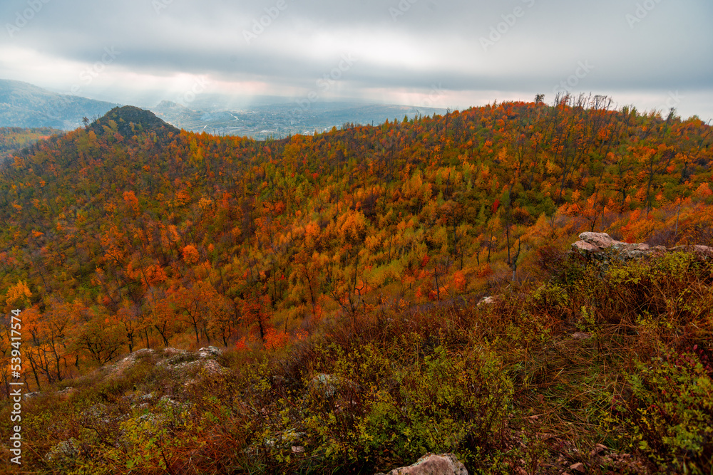A stroll through the Zhigulyovo Mountains on an October day! A stroll through the Zhigulyovo Mountains on an October day!
