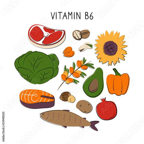 Vitamin B6 Pyridoxine. Groups of healthy products containing vitamins. Set of fruits, vegetables, meats, fish and dairy