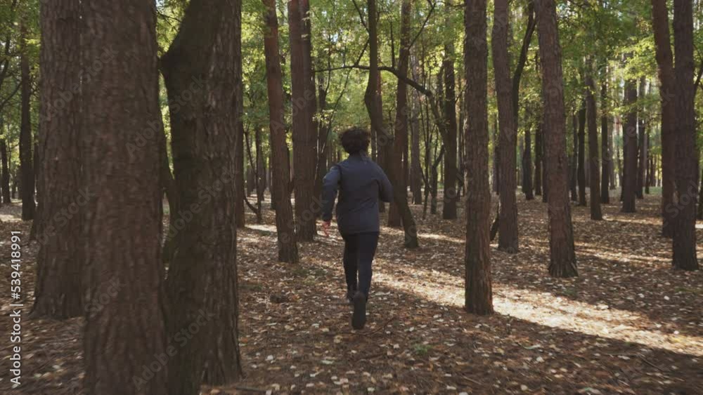 Slow motion jogger running in autumn pine forest, sun shining through trees, leaves lying on ground. Following shot of athlete exercising in the morning. Concept of healthy lifestyle Slow motion jogger running in autumn pine forest, sun shining through trees, leaves lying on ground. Following shot of athlete exercising in the morning. Concept of healthy lifestyle