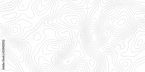 Topographic patter line map background. silver line topography maount map contour background, geographic grid. Abstract vector illustration.	
