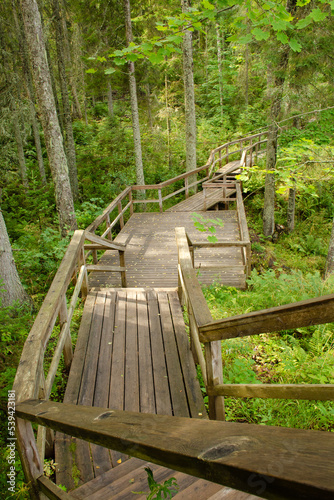 Vertical photo of a wooden bridge with steps and railings in a green forest