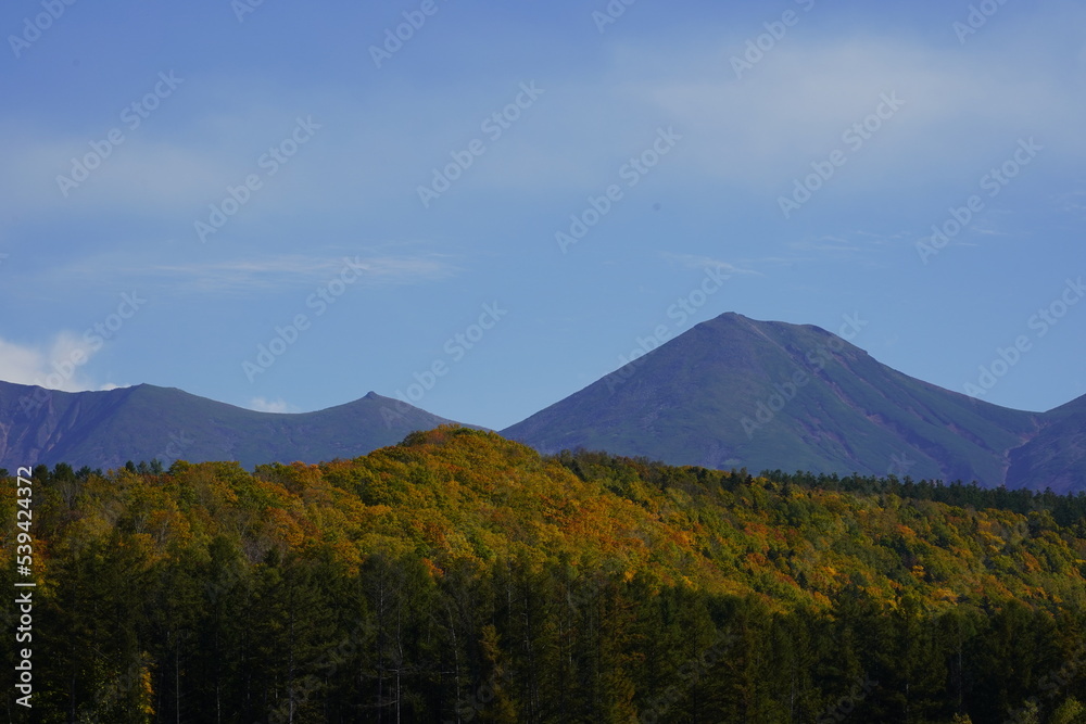 青く澄んだ空と紅葉している木々が綺麗な美瑛町の風景