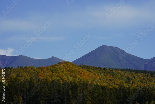 青く澄んだ空と紅葉している木々が綺麗な美瑛町の風景