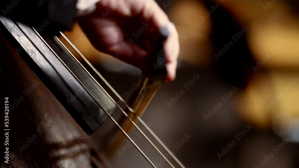 Close-up of a double bass when a classical musician plays with a bow as part of a string quartet