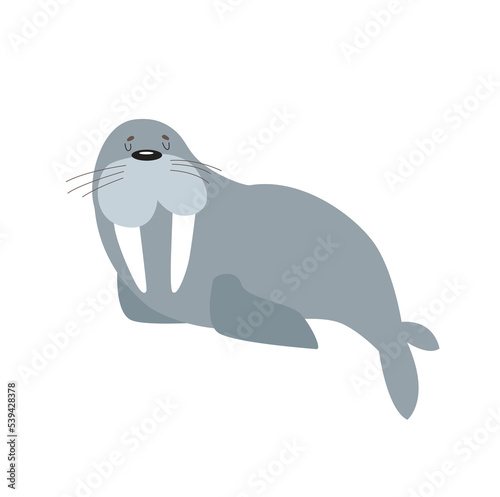 Cute vector walrus. Funny cartoon walrus. Sea animal. Cartoon character. Sea lion, fur seal	