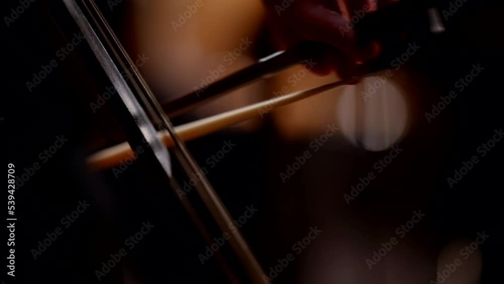 Close-up of a man playing the double bass. A male musician playing a classical musical instrument.