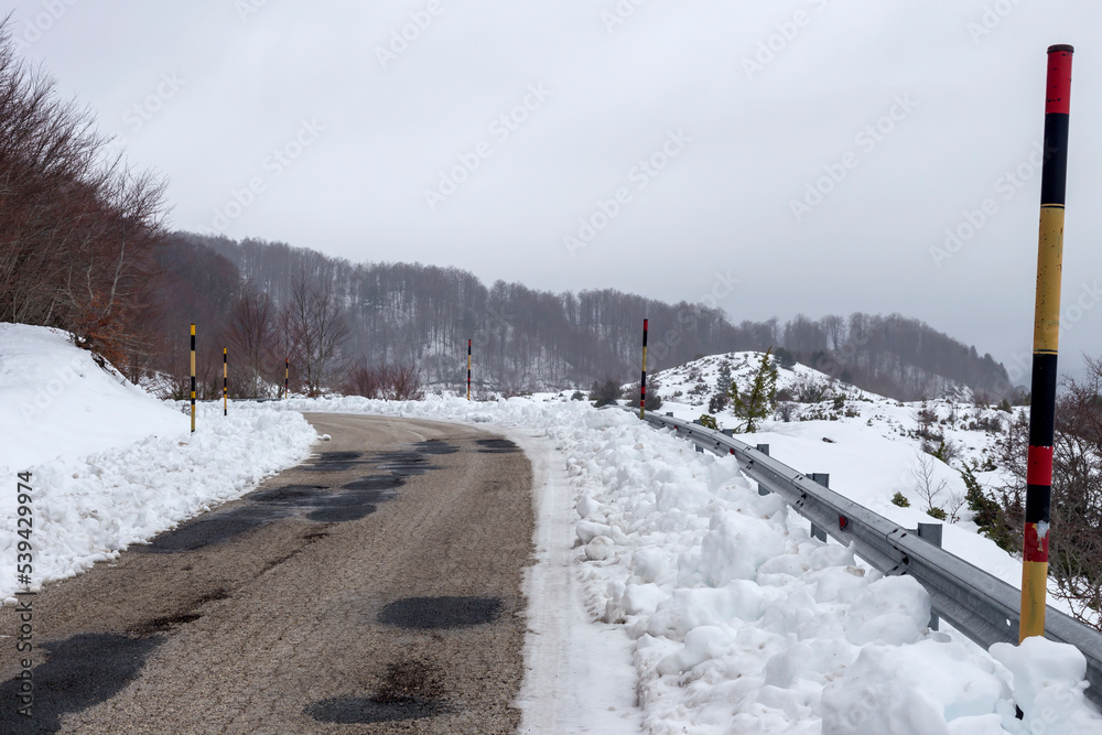 Forest in the highlands (Epirus region, Greece) and country road on a winter day