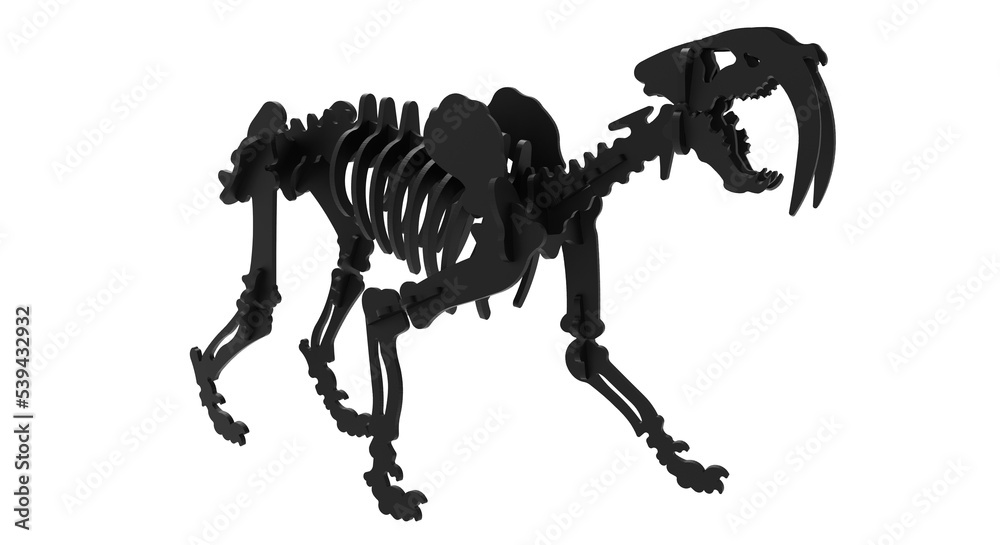 3D rendering of a Smilodon skeleton or saber toothed tiger a genus of ...