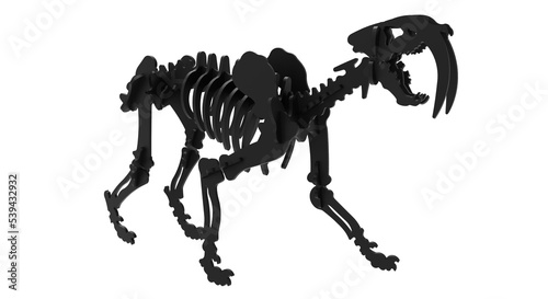 3D rendering of a Smilodon skeleton or saber toothed tiger a genus of large carnivores from the family Felidae, which became extinct at the end of the Pleistocene. Silhouette render.
