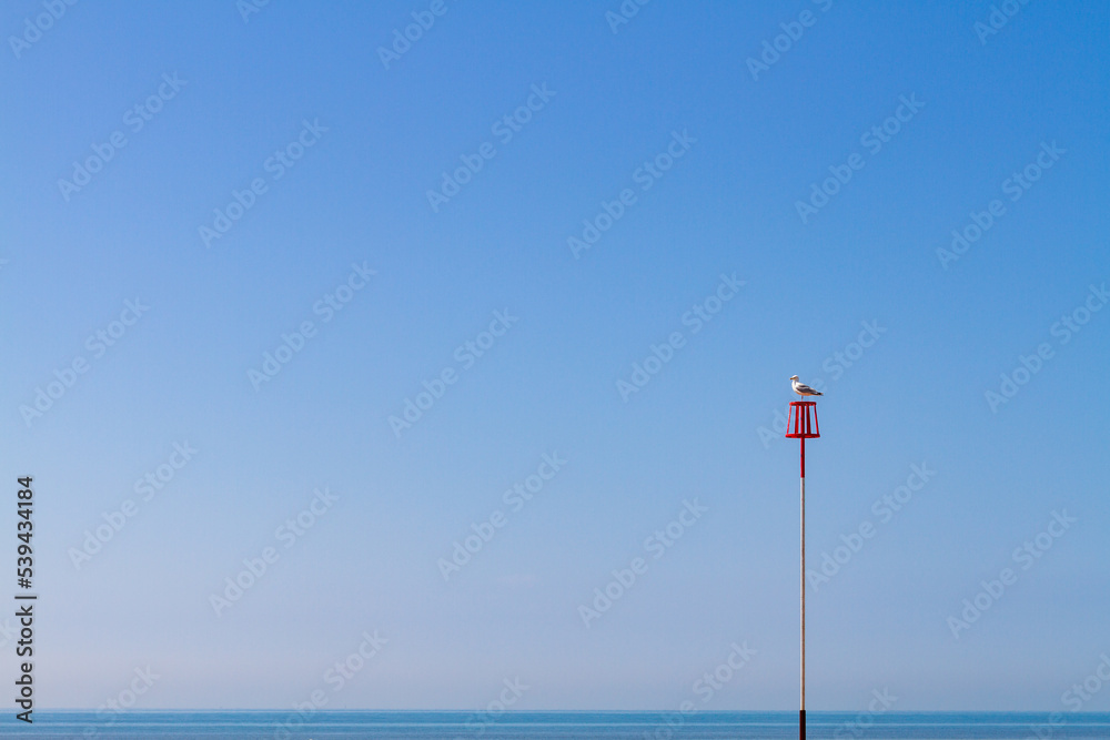 Seagull perched on top of red and white pole with blue sky and strip of blue sea Seagull perched on top of red and white pole with blue sky and strip of blue sea