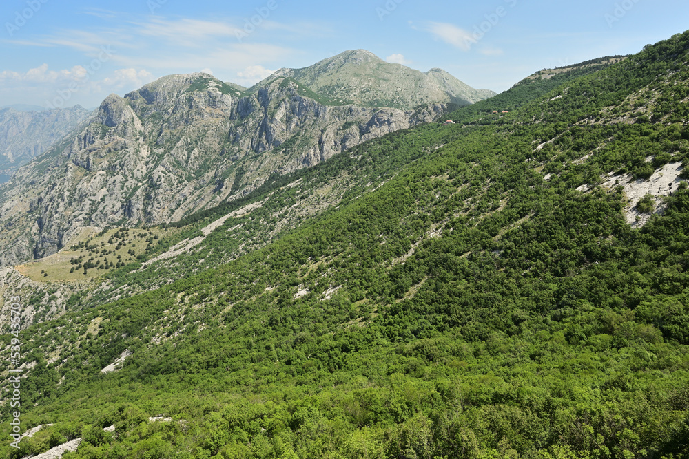 Mountain landscape in the Lovcen National Park. Montenegro