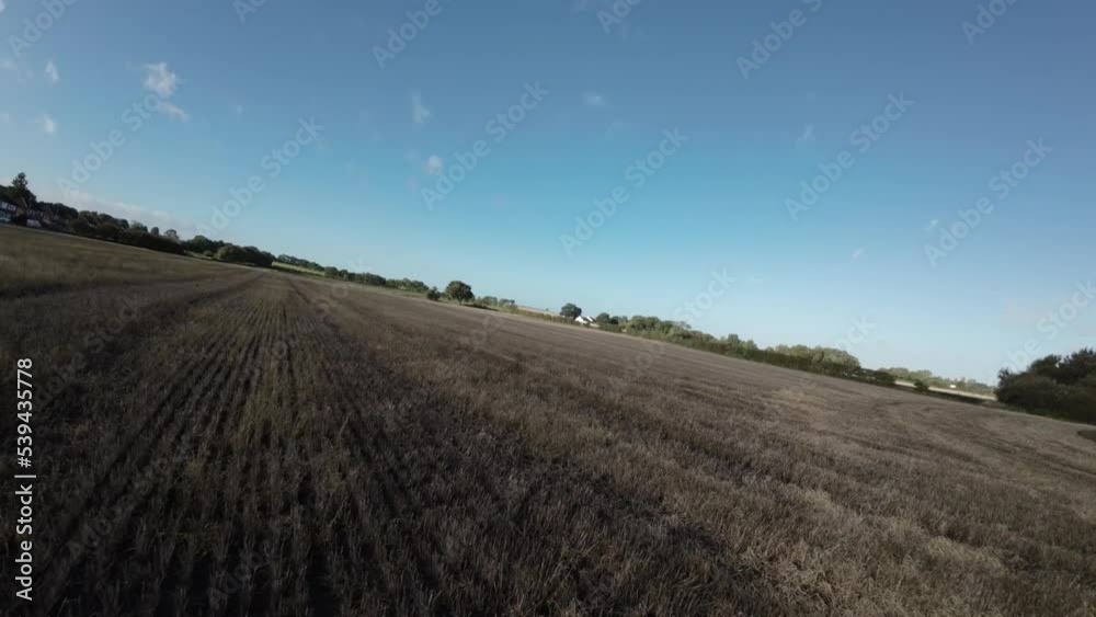 FPV drone above agricultural crop farmland passing over countryside tree hedge UK