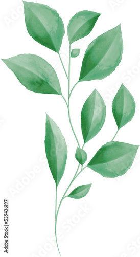 Watercolor Green Leaf For Wedding Decoration